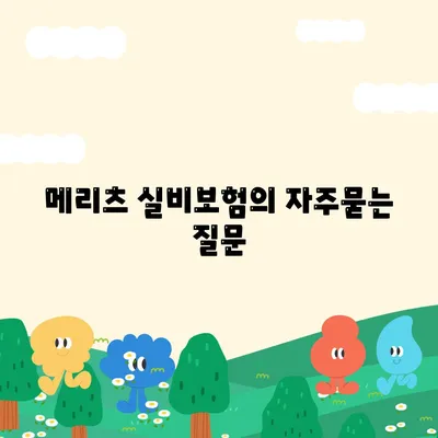 메리츠 실비보험