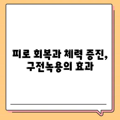 구전녹용 효능