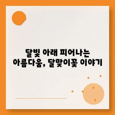 달맞이꽃