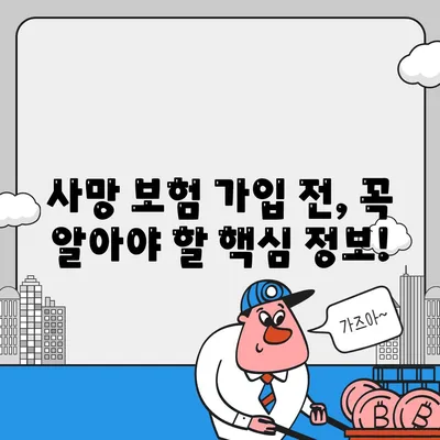 사망 보험 가이드