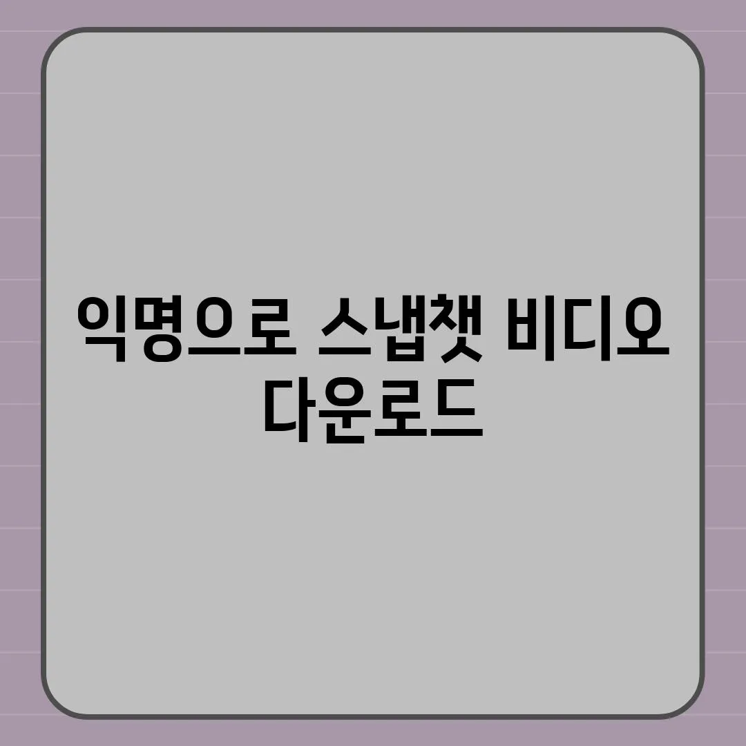 익명으로 스냅챗 비디오 다운로드