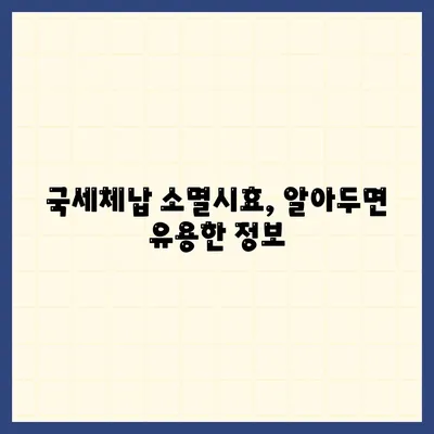 국세체납 소멸시효 조회