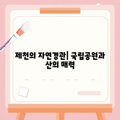 제천의 자연경관| 국립공원과 산의 매력