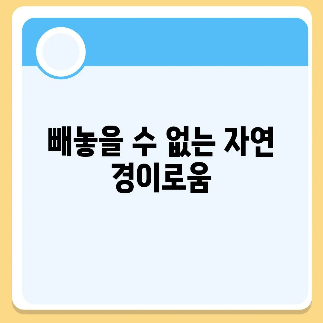 빼놓을 수 없는 자연 경이로움