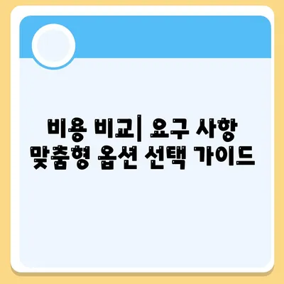 비용 비교| 요구 사항 맞춤형 옵션 선택 가이드