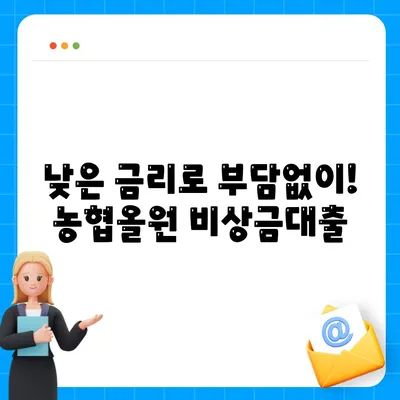 농협올원 비상금대출