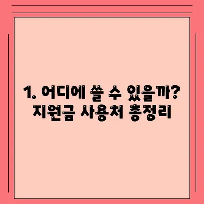 상생소비지원금 사용처