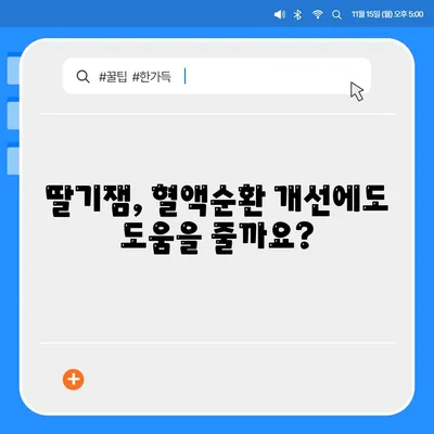 딸기잼 효능