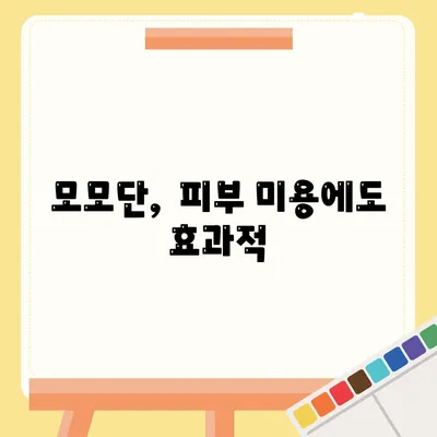 모모단 효능