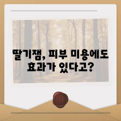 딸기잼 효능