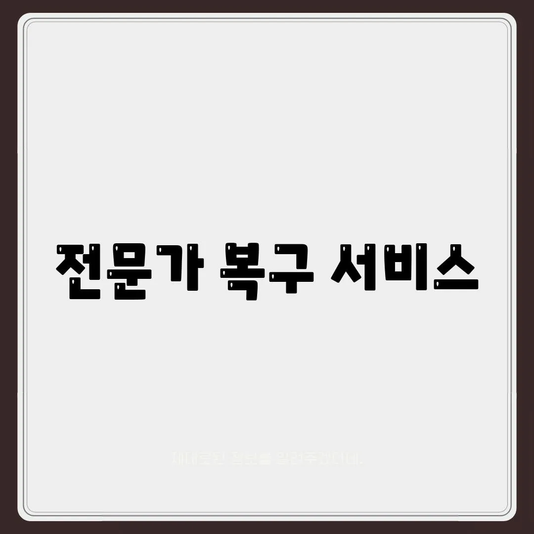 전문가 복구 서비스