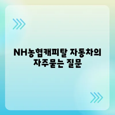 NH농협캐피탈 자동차