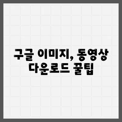 구글 자료 다운로드