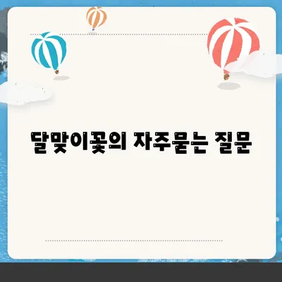 달맞이꽃