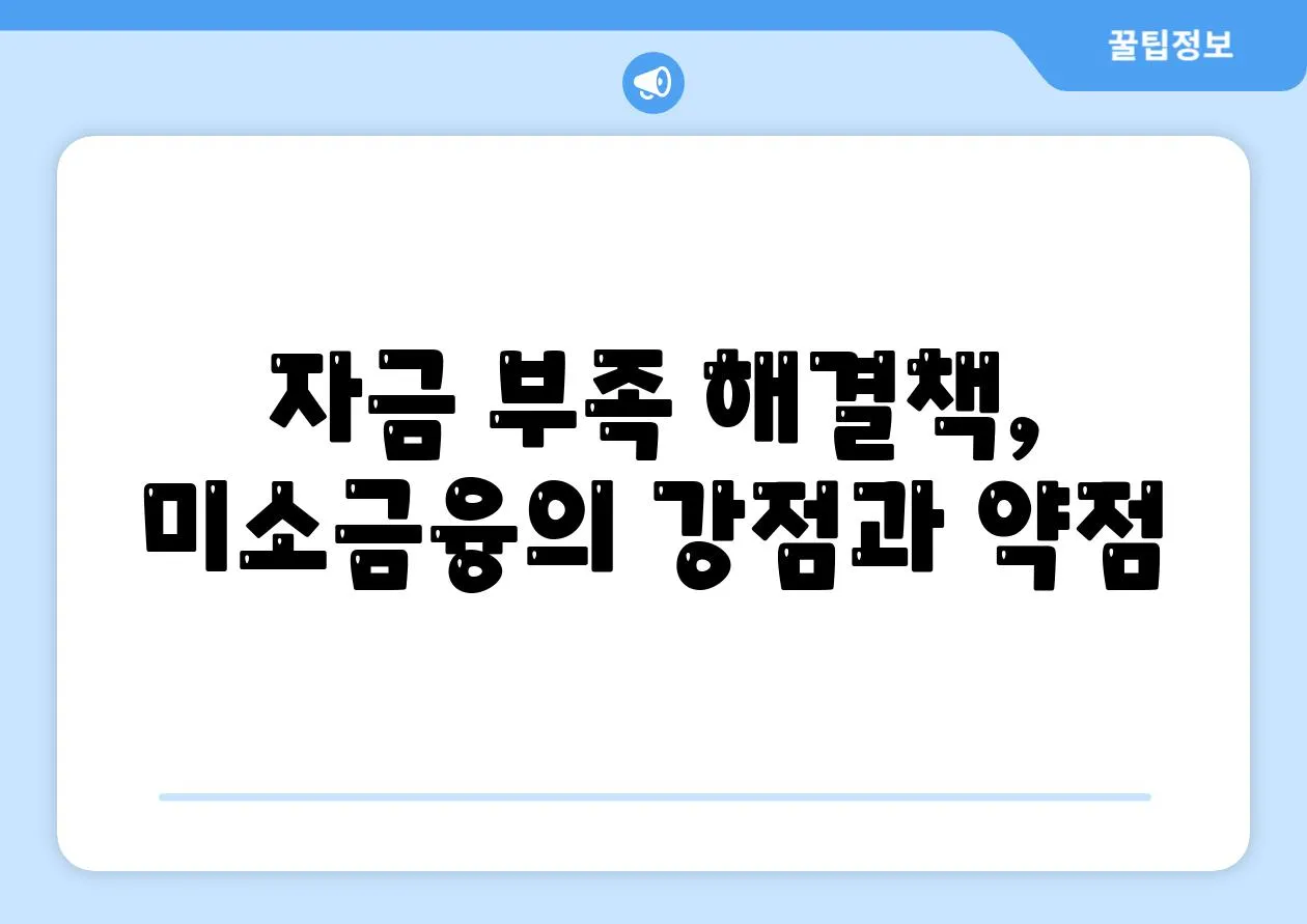 자금 부족 해결책, 미소금융의 강점과 약점