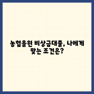 농협올원 비상금대출