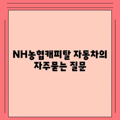 NH농협캐피탈 자동차