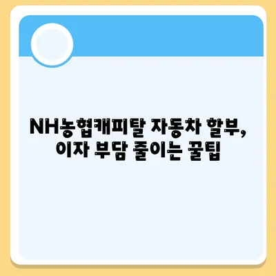 NH농협캐피탈 자동차