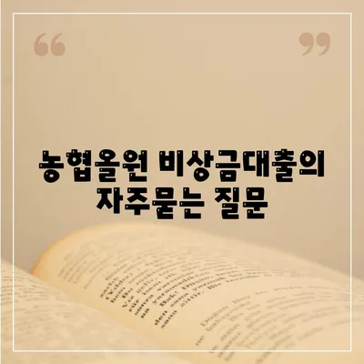 농협올원 비상금대출