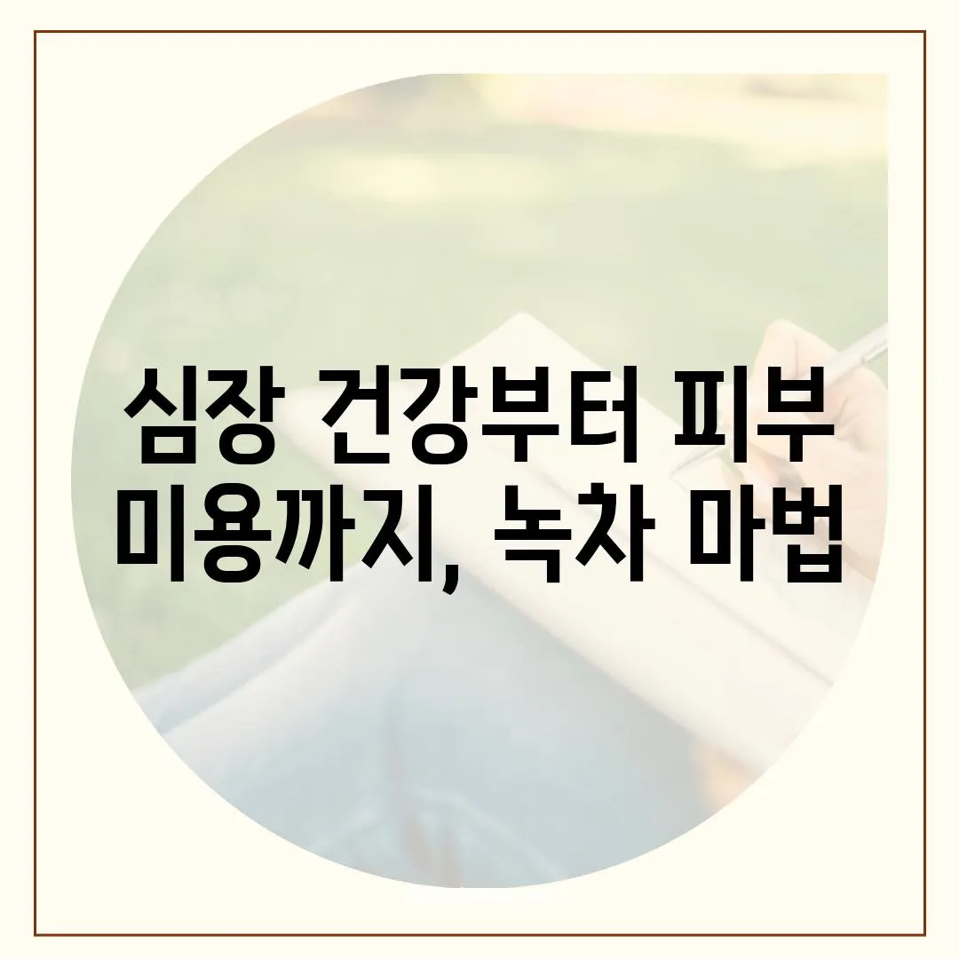 심장 건강부터 피부 미용까지, 녹차 마법