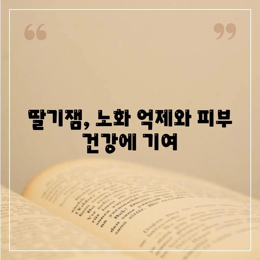 딸기잼, 노화 억제와 피부 건강에 기여