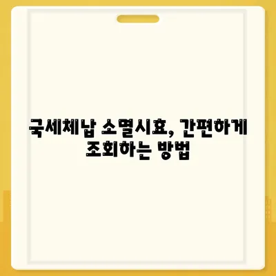 국세체납 소멸시효 조회