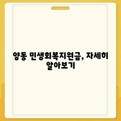 광주시 서구 양동 민생회복지원금 | 신청 | 신청방법 | 대상 | 지급일 | 사용처 | 전국민 | 이재명 | 2024