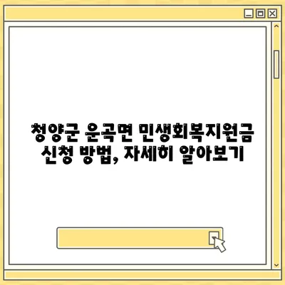 충청남도 청양군 운곡면 민생회복지원금 | 신청 | 신청방법 | 대상 | 지급일 | 사용처 | 전국민 | 이재명 | 2024