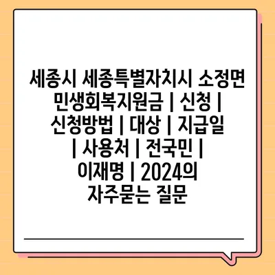 세종시 세종특별자치시 소정면 민생회복지원금 | 신청 | 신청방법 | 대상 | 지급일 | 사용처 | 전국민 | 이재명 | 2024