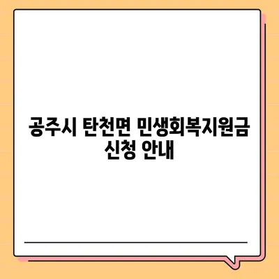 충청남도 공주시 탄천면 민생회복지원금 | 신청 | 신청방법 | 대상 | 지급일 | 사용처 | 전국민 | 이재명 | 2024