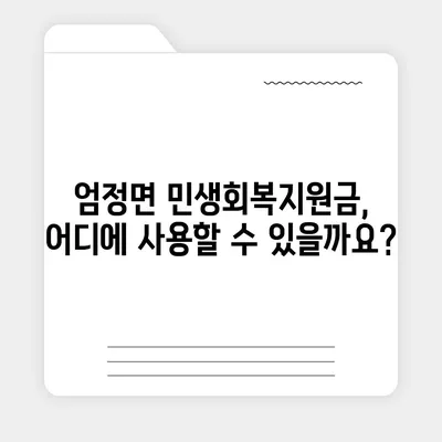 충청북도 충주시 엄정면 민생회복지원금 | 신청 | 신청방법 | 대상 | 지급일 | 사용처 | 전국민 | 이재명 | 2024