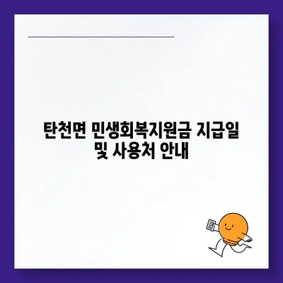 충청남도 공주시 탄천면 민생회복지원금 | 신청 | 신청방법 | 대상 | 지급일 | 사용처 | 전국민 | 이재명 | 2024