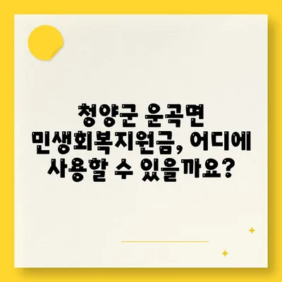 충청남도 청양군 운곡면 민생회복지원금 | 신청 | 신청방법 | 대상 | 지급일 | 사용처 | 전국민 | 이재명 | 2024