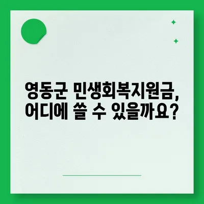 충청북도 영동군 영동읍 민생회복지원금 | 신청 | 신청방법 | 대상 | 지급일 | 사용처 | 전국민 | 이재명 | 2024