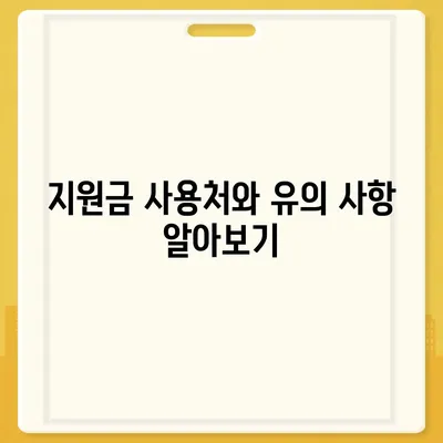 대전시 동구 대동 민생회복지원금 | 신청 | 신청방법 | 대상 | 지급일 | 사용처 | 전국민 | 이재명 | 2024