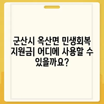 전라북도 군산시 옥산면 민생회복지원금 | 신청 | 신청방법 | 대상 | 지급일 | 사용처 | 전국민 | 이재명 | 2024