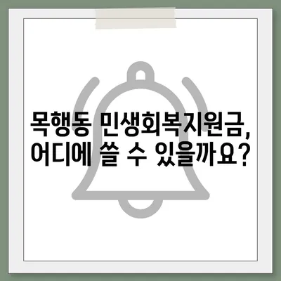 충청북도 충주시 목행동 민생회복지원금 | 신청 | 신청방법 | 대상 | 지급일 | 사용처 | 전국민 | 이재명 | 2024