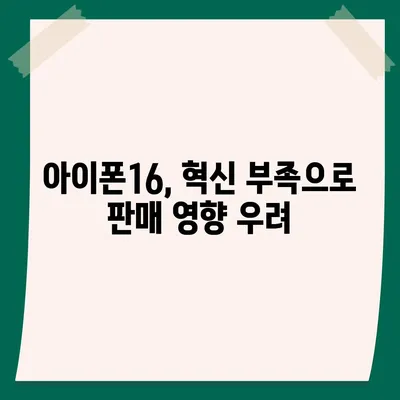 아이폰15 1호 구매자 논란 속 아이폰16에 대한 우려