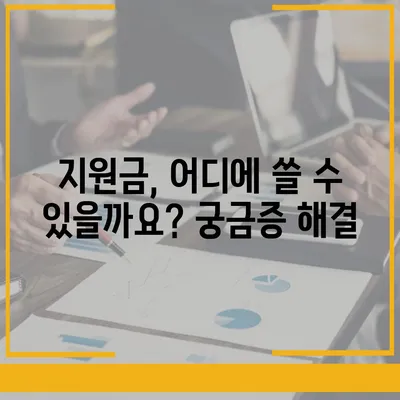 대전시 동구 대청동 민생회복지원금 | 신청 | 신청방법 | 대상 | 지급일 | 사용처 | 전국민 | 이재명 | 2024