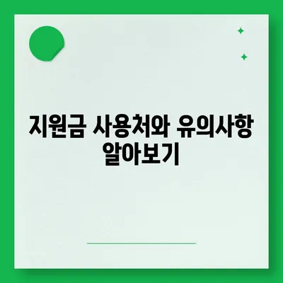 경기도 포천시 영북면 민생회복지원금 | 신청 | 신청방법 | 대상 | 지급일 | 사용처 | 전국민 | 이재명 | 2024