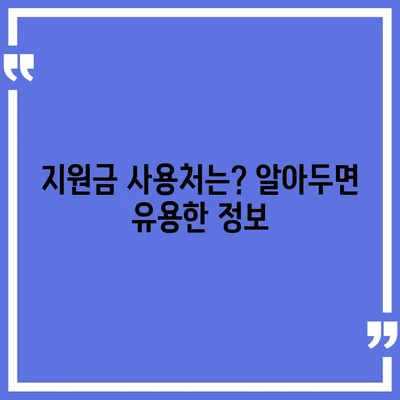 울산시 남구 야음장생포동 민생회복지원금 | 신청 | 신청방법 | 대상 | 지급일 | 사용처 | 전국민 | 이재명 | 2024