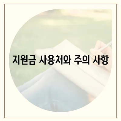 세종시 세종특별자치시 한솔동 민생회복지원금 | 신청 | 신청방법 | 대상 | 지급일 | 사용처 | 전국민 | 이재명 | 2024