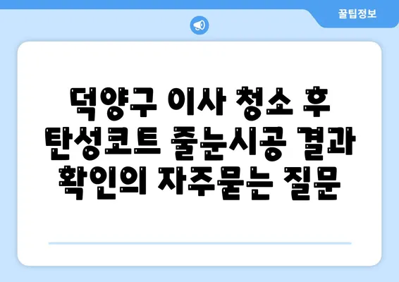 덕양구 이사 청소 후 탄성코트 줄눈시공 결과 확인