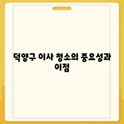 덕양구 이사 청소 후 탄성코트 줄눈시공 결과 확인