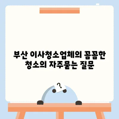 부산 이사청소업체의 꼼꼼한 청소