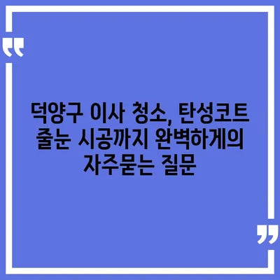 덕양구 이사 청소, 탄성코트 줄눈 시공까지 완벽하게