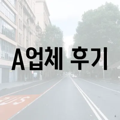 A업체 후기