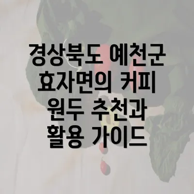 경상북도 예천군 효자면의 커피 원두 추천과 활용 가이드