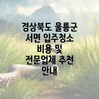 경상북도 울릉군 서면 입주청소 비용 및 전문업체 추천 안내