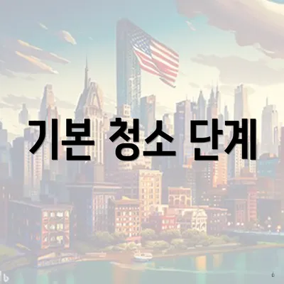 기본 청소 단계